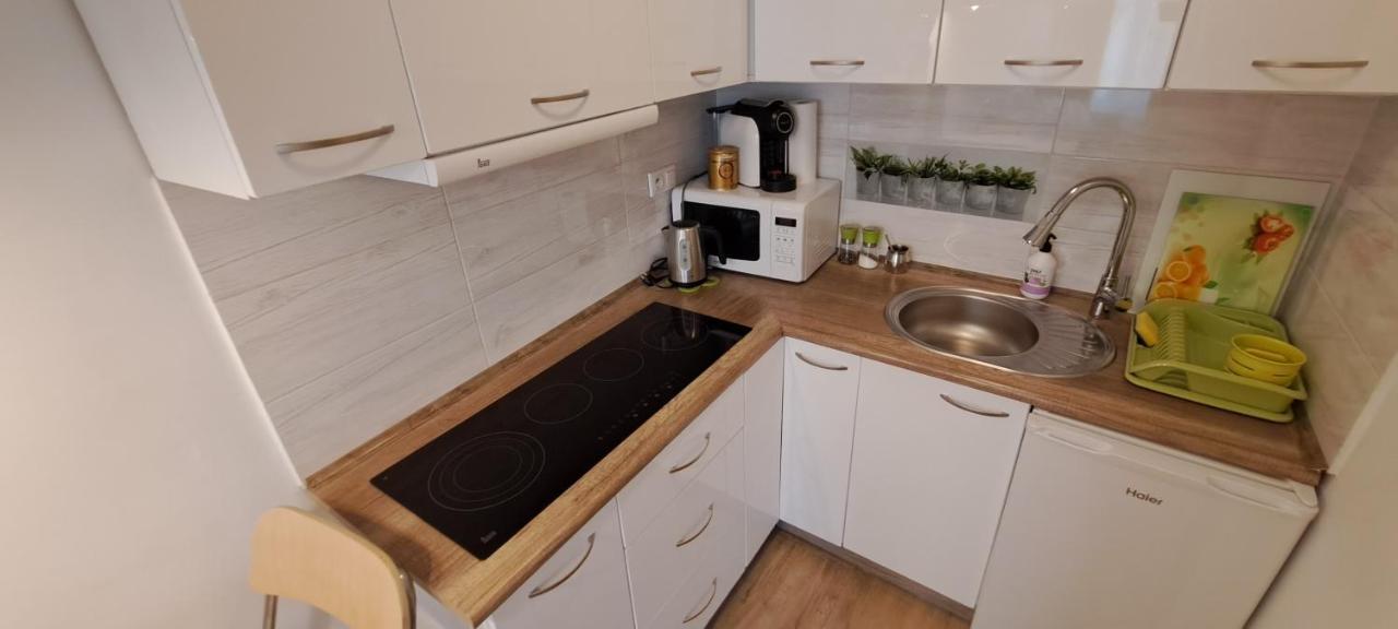 Stary Toruń Apartament Kopernika 47 מראה חיצוני תמונה